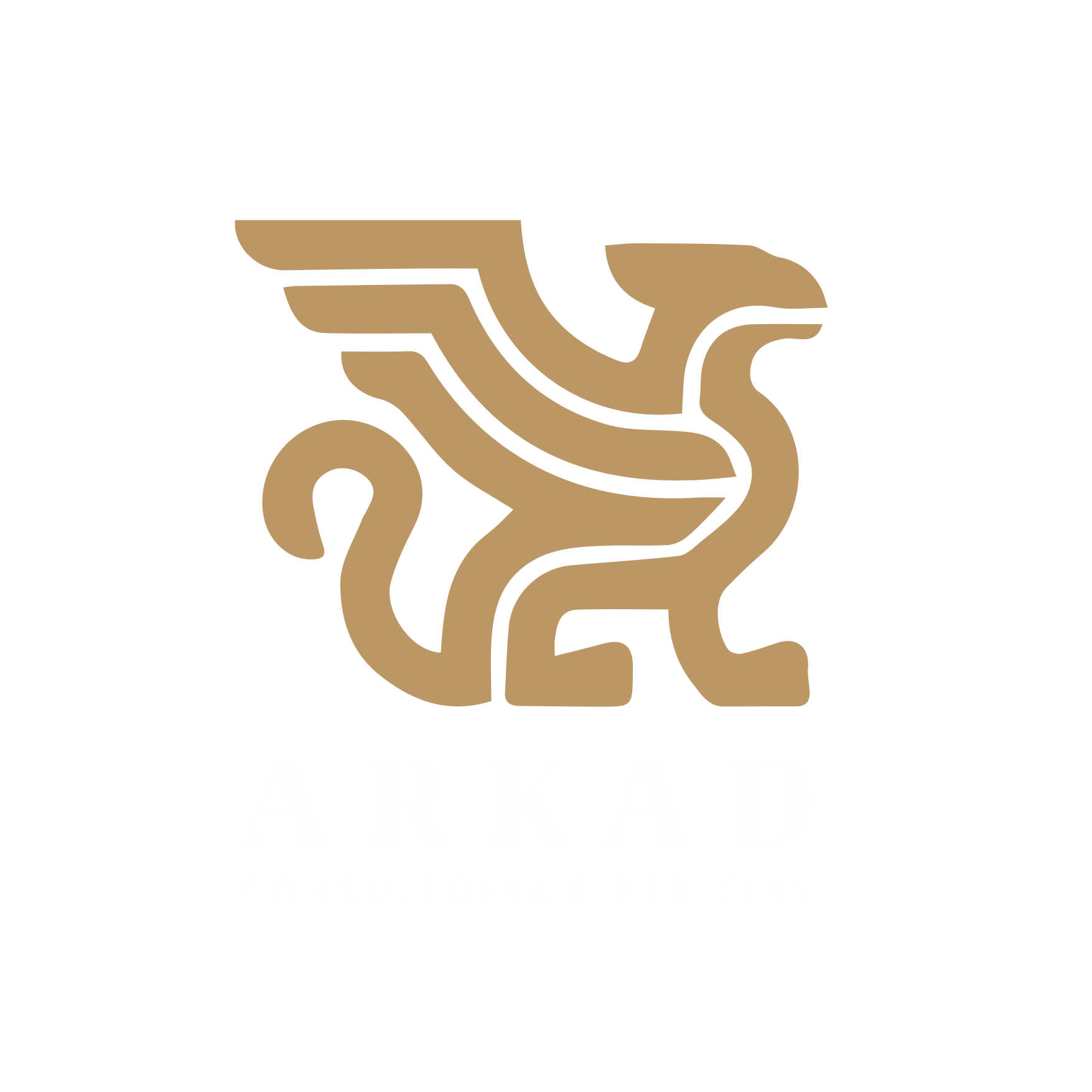 Arkad Consultoria e Perícias